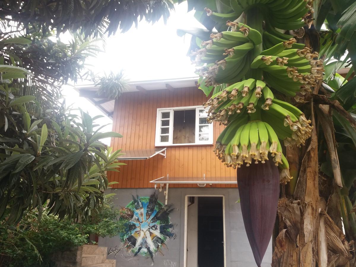 Hostel Casa Terra Florianopolis Exterior photo